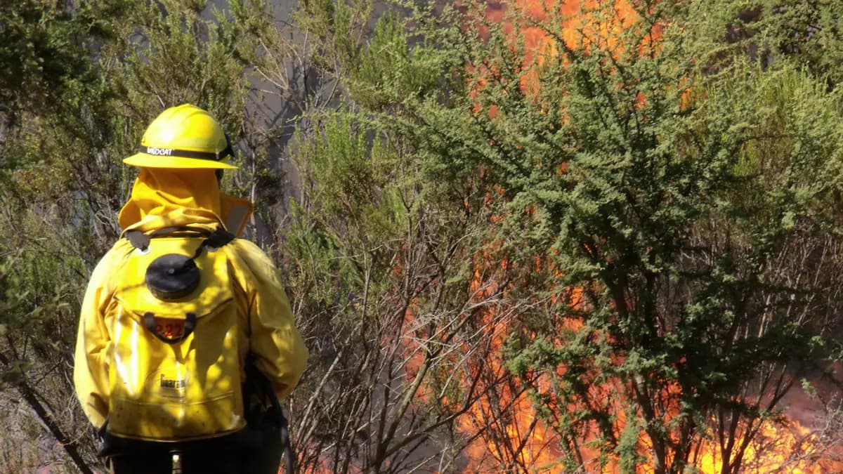 Brigadista da Conaf com capacete amarelo diante de um incêndio de vegetação
