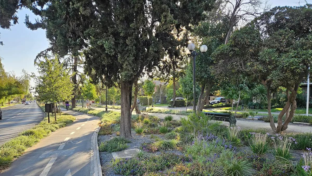 Ciclovia da avenida Pocuro, em Santiago, entre árvores e jardins