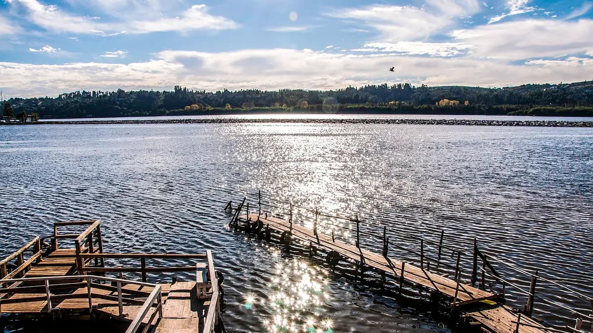 Costanera del río Maule en Constitución con un muelle de madera