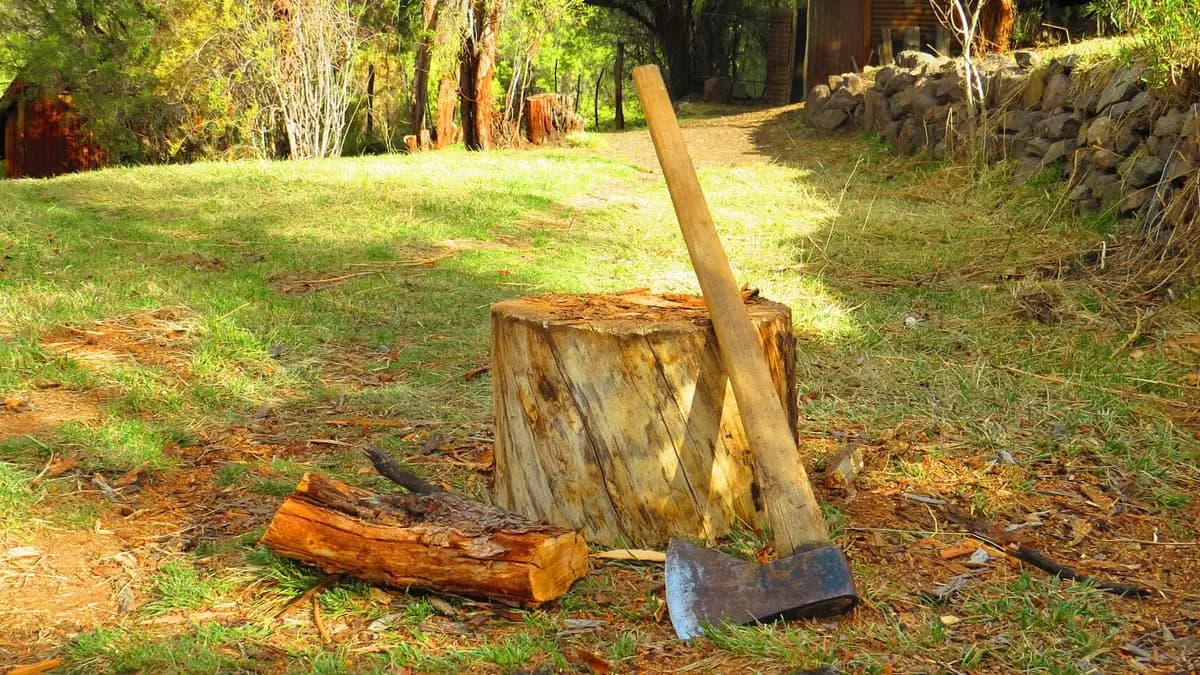 Tronco com um machado e pedaços de lenha cortada em um jardim no Chile