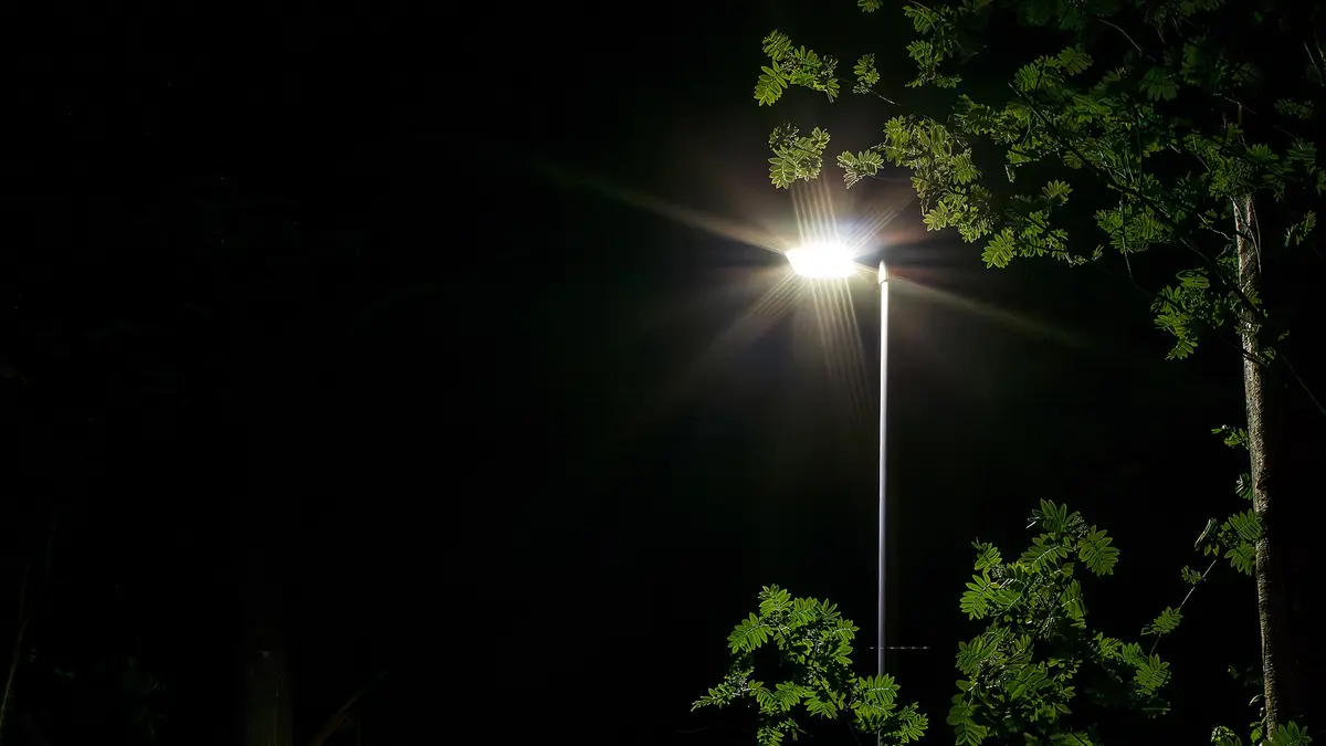 Poste de iluminação pública LED aceso à noite entre árvores