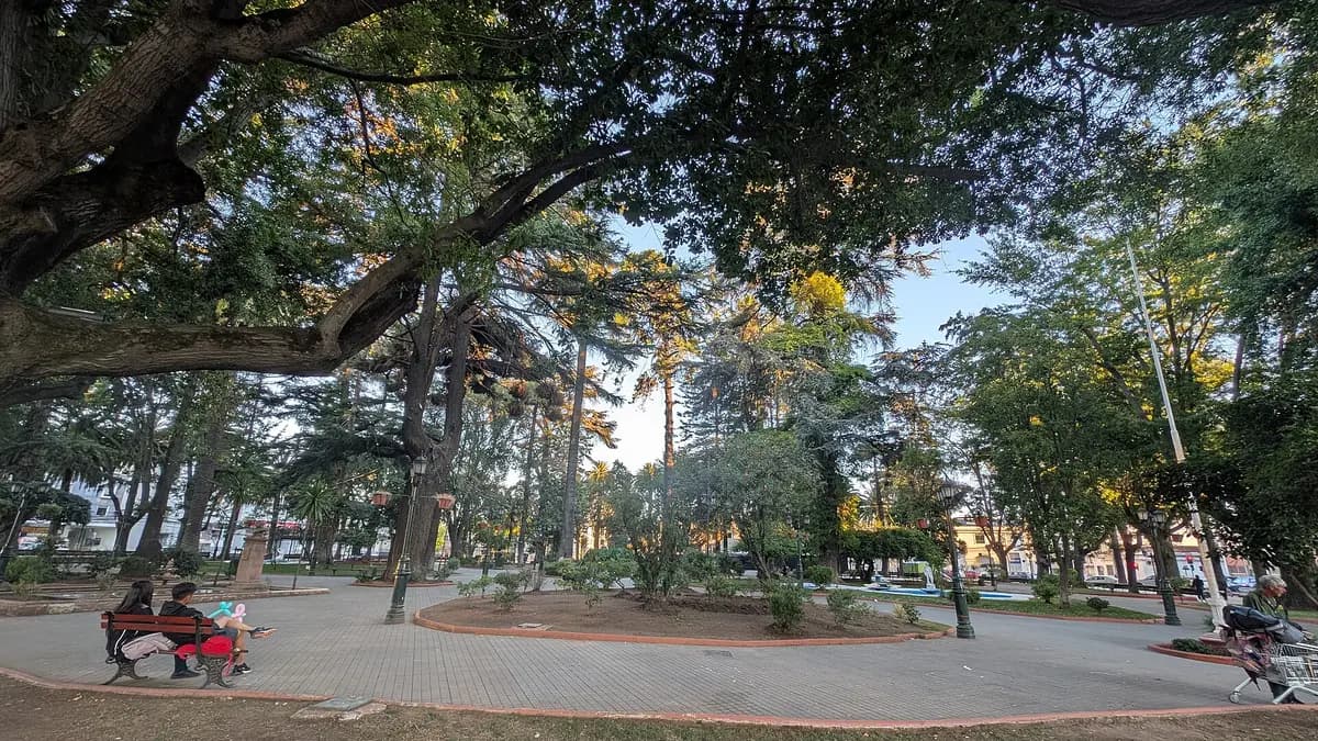 Praça de Armas de Curicó com árvores, bancos e caminhos em um dia ensolarado