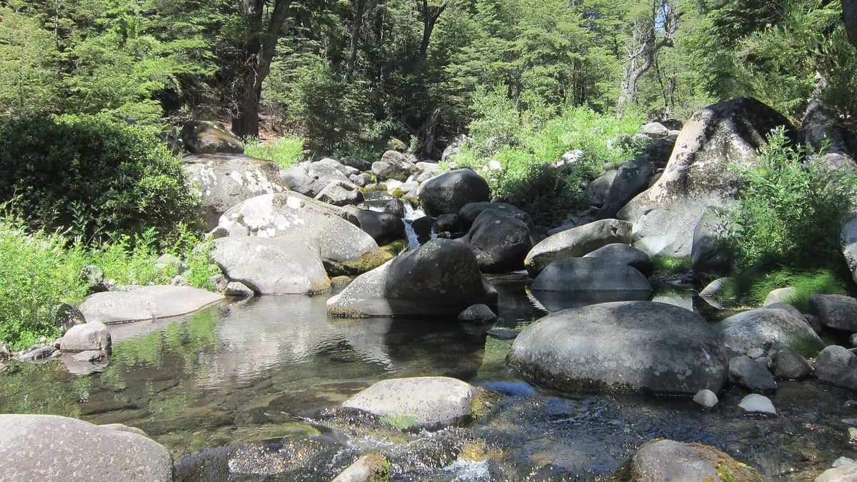 Clear river running between rocks and forest in the municipality of Río Claro, Maule Region